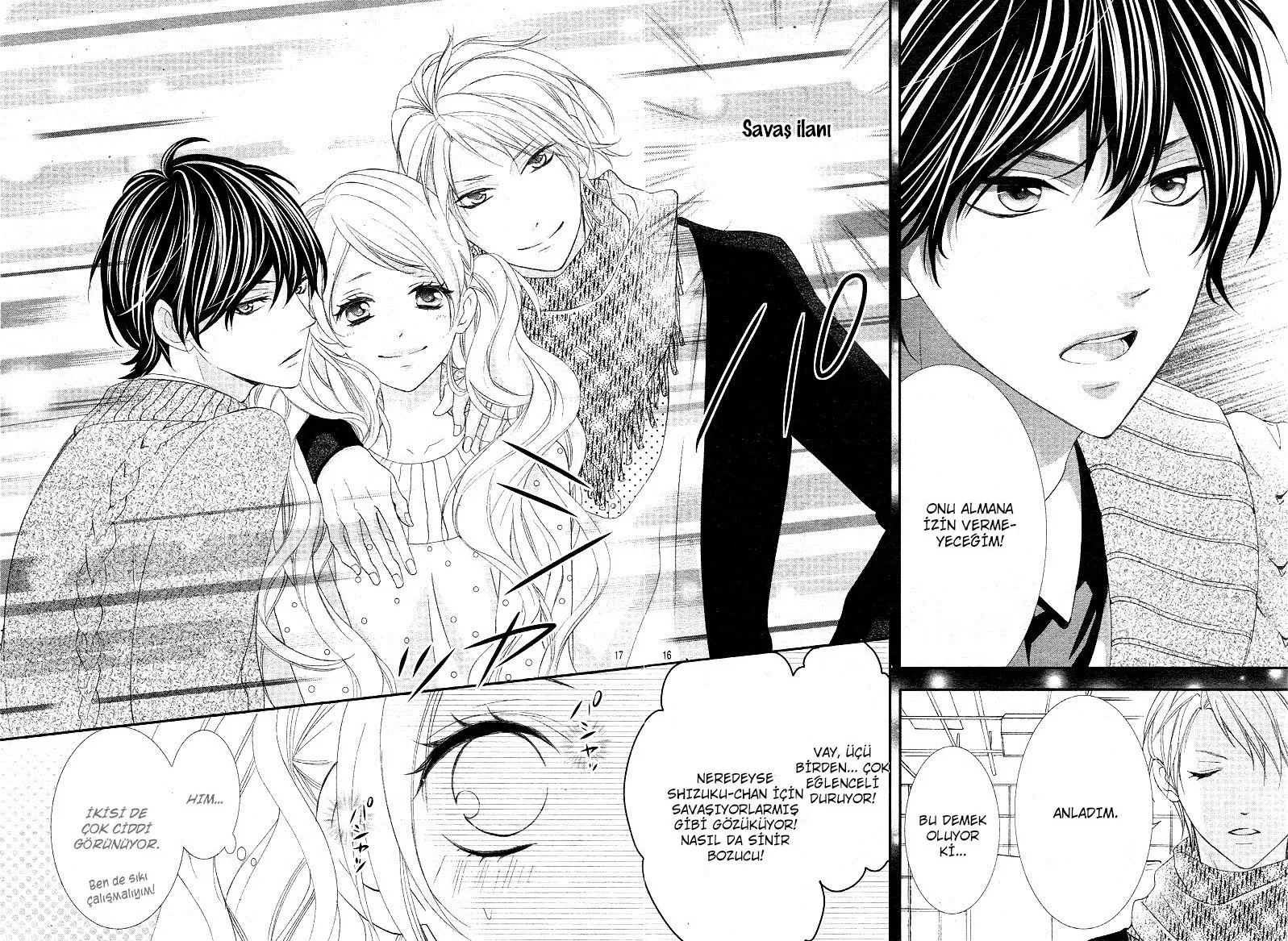 Sayfa 17