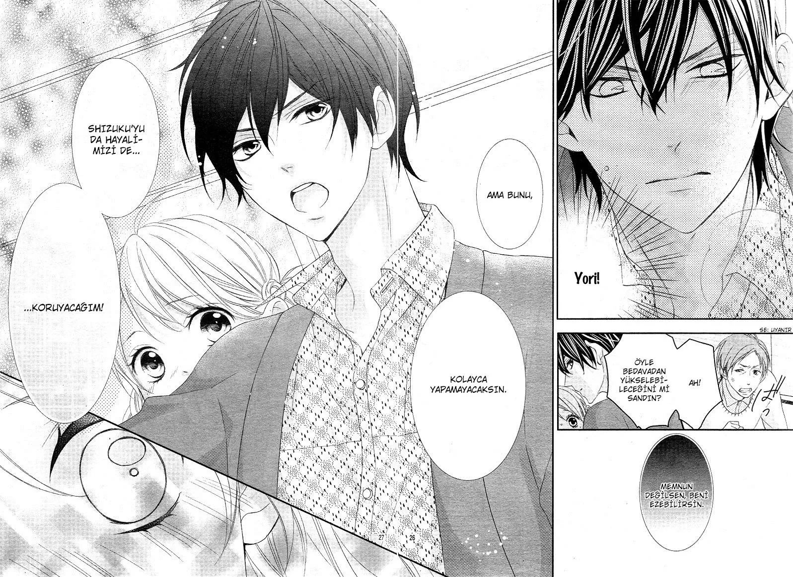 Sayfa 26