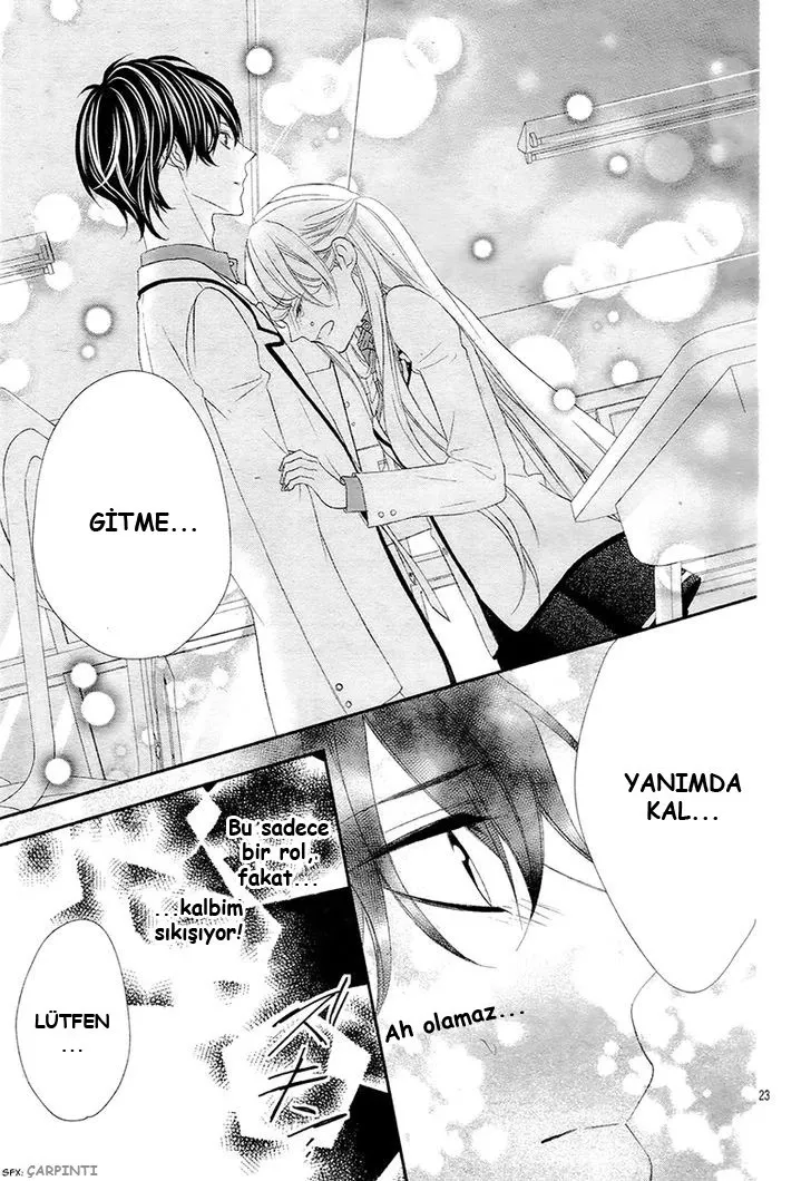 Sayfa 25