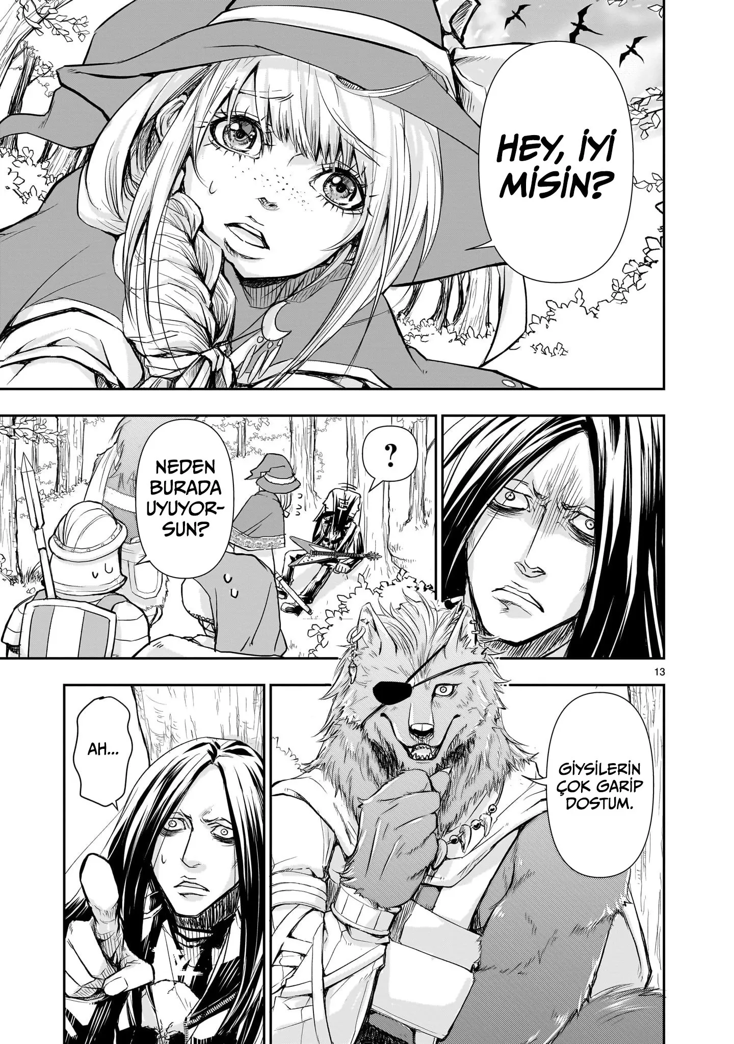 Sayfa 13