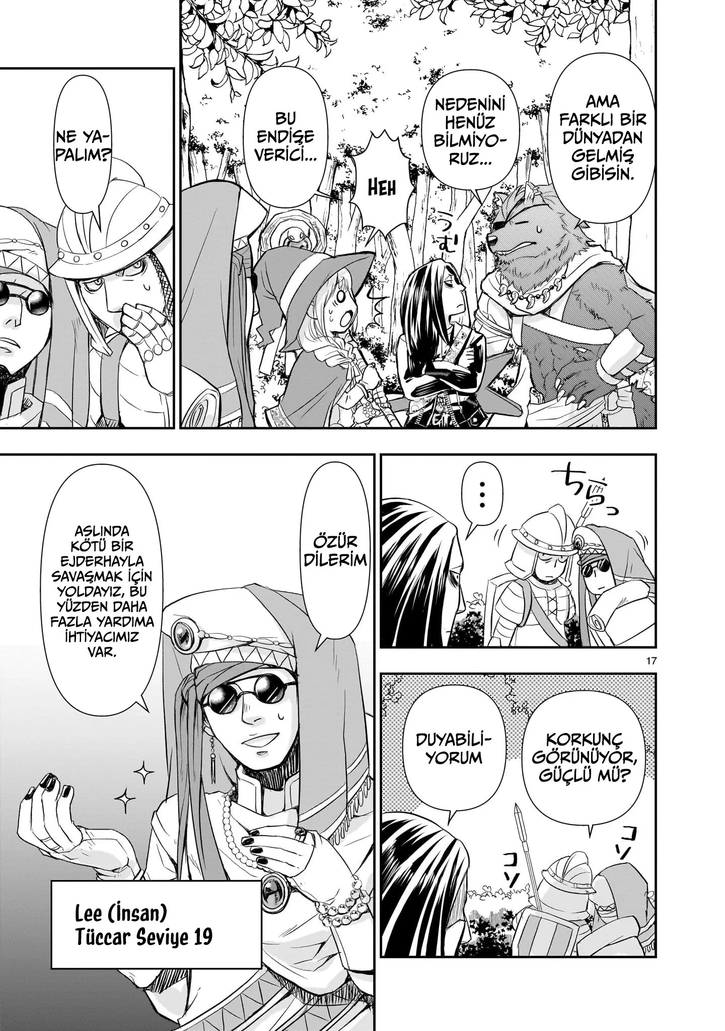 Sayfa 17