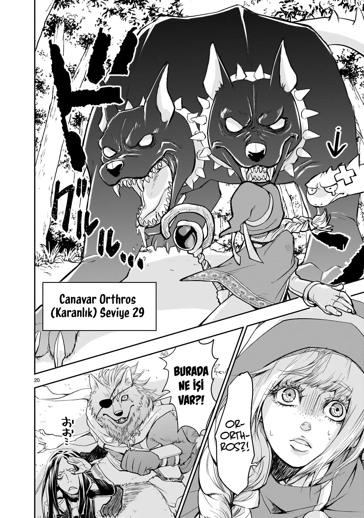Sayfa 20