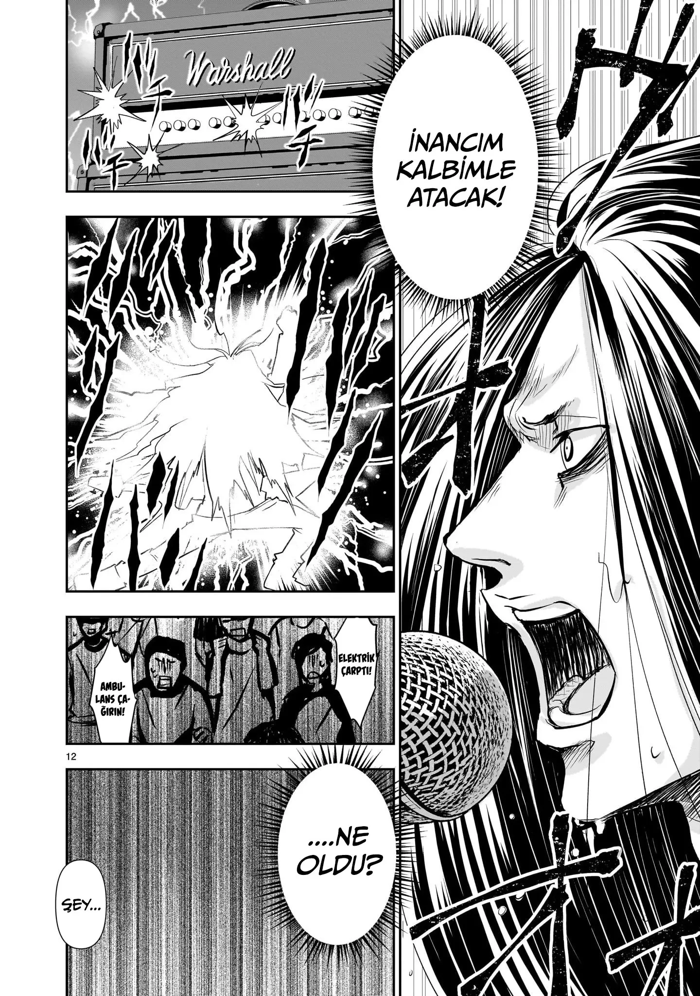 Sayfa 12