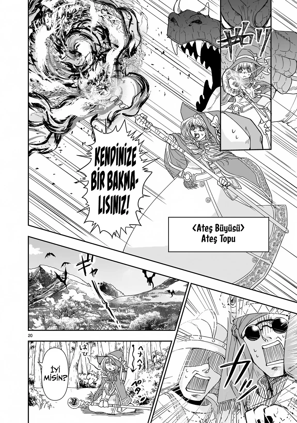 Sayfa 20