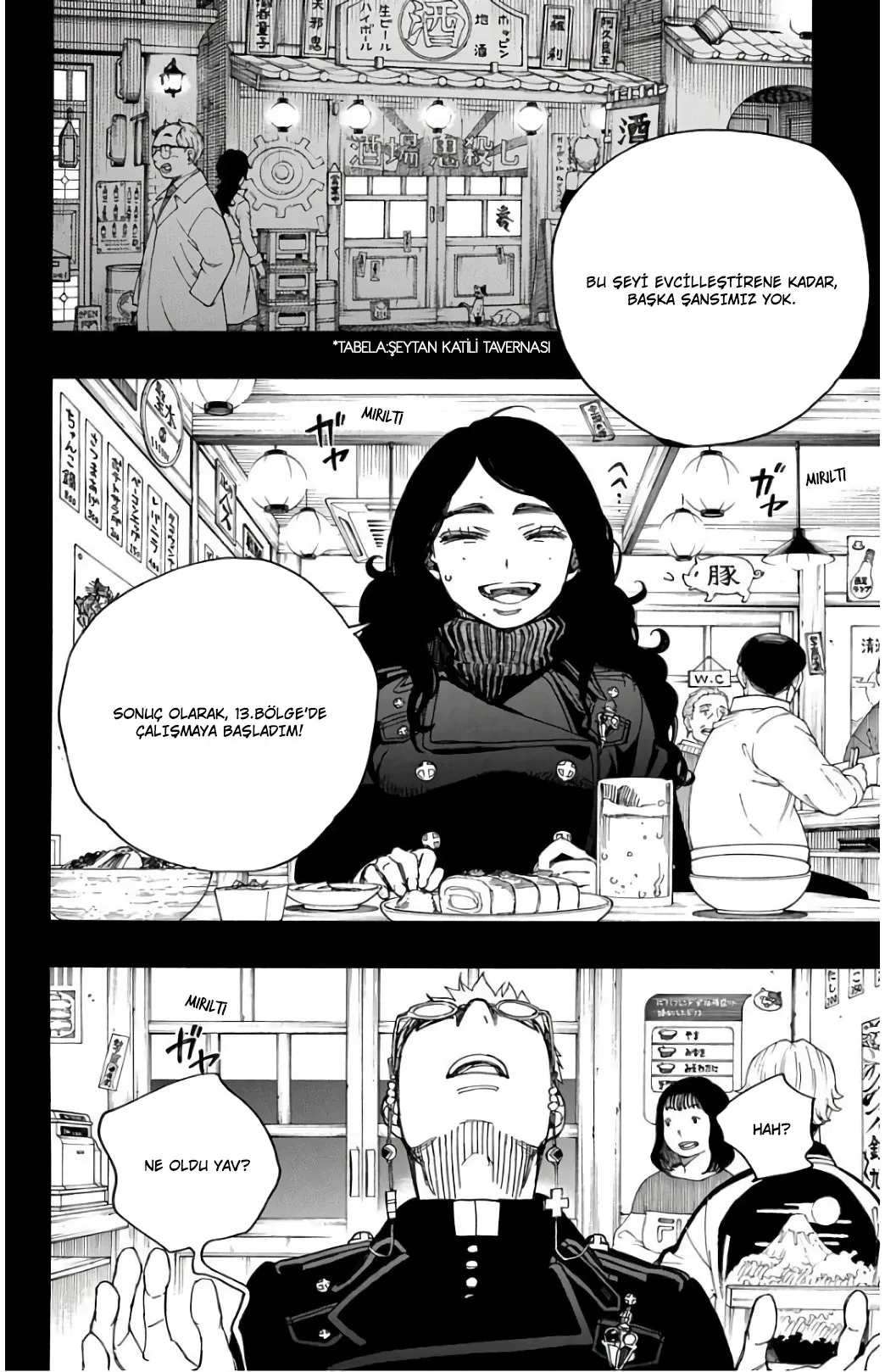 Sayfa 13