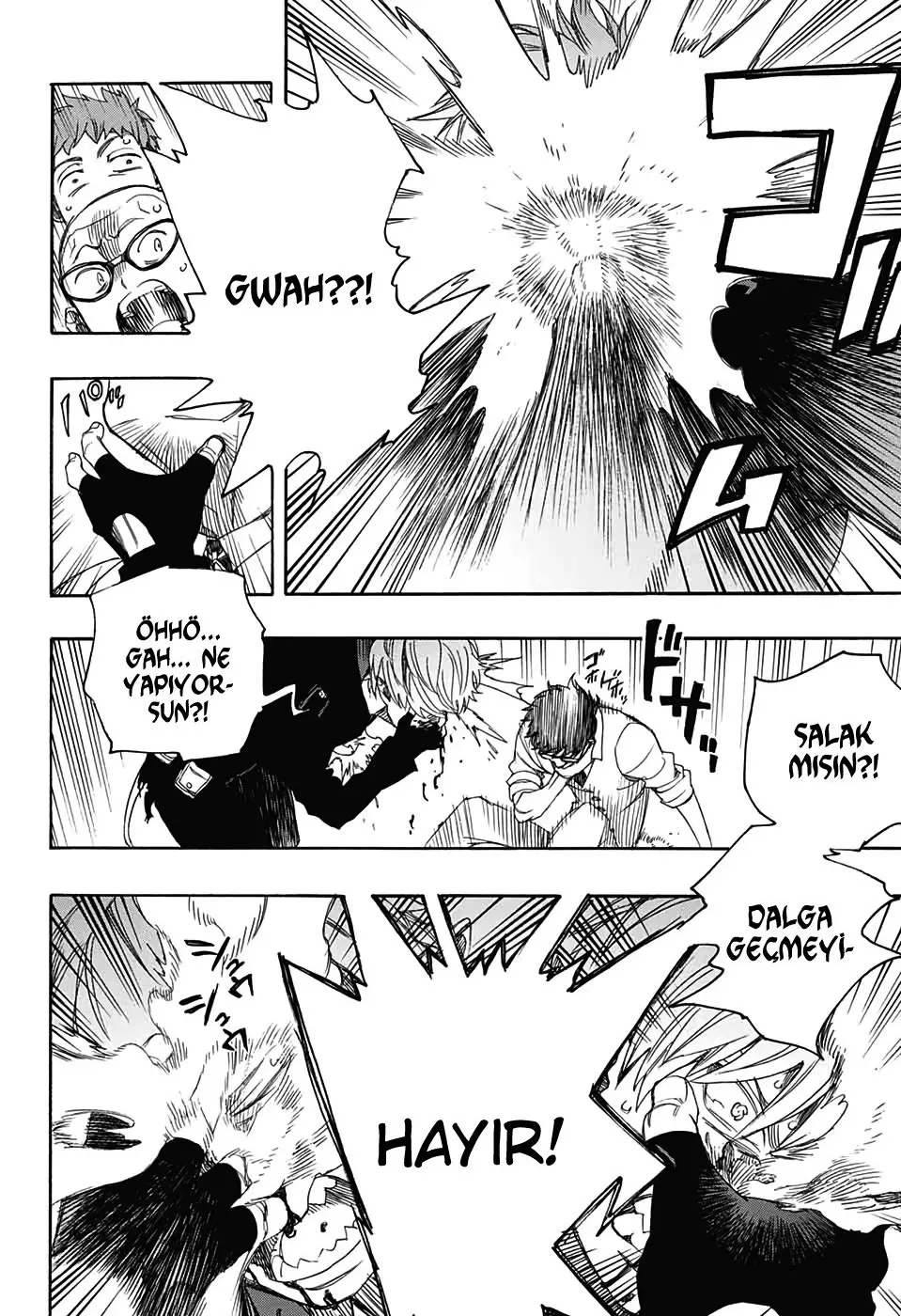 Sayfa 13