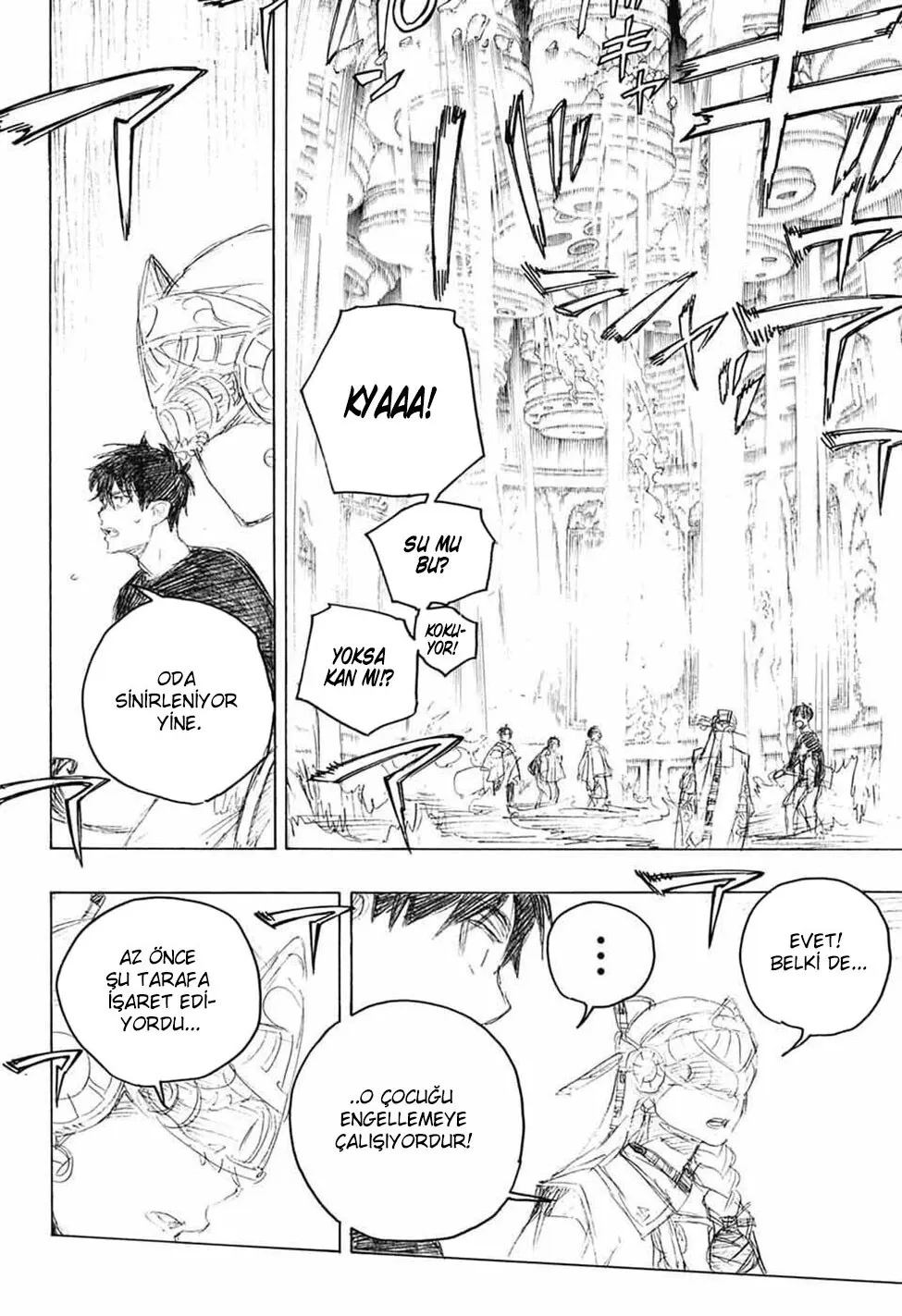 Sayfa 25
