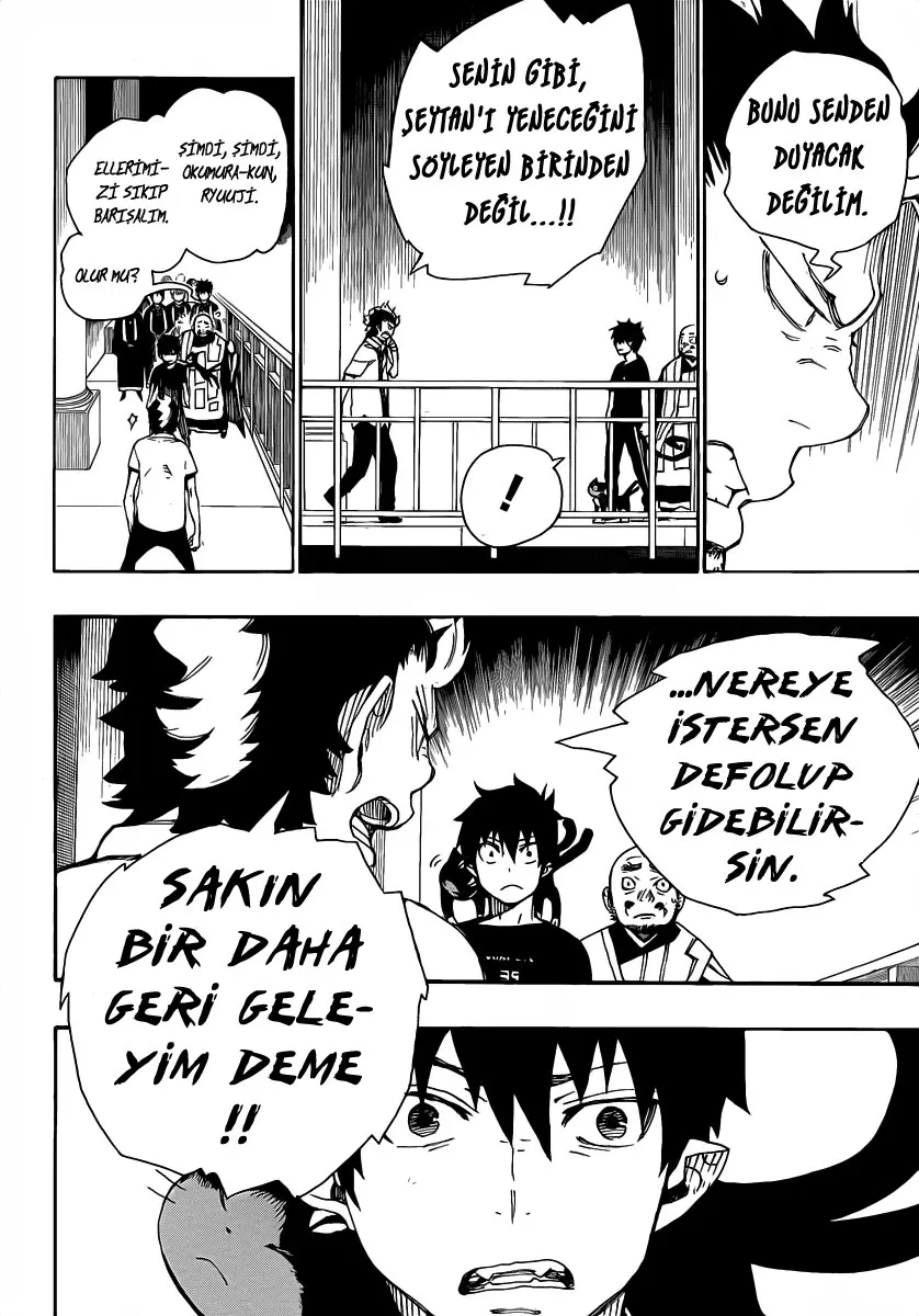 Sayfa 13