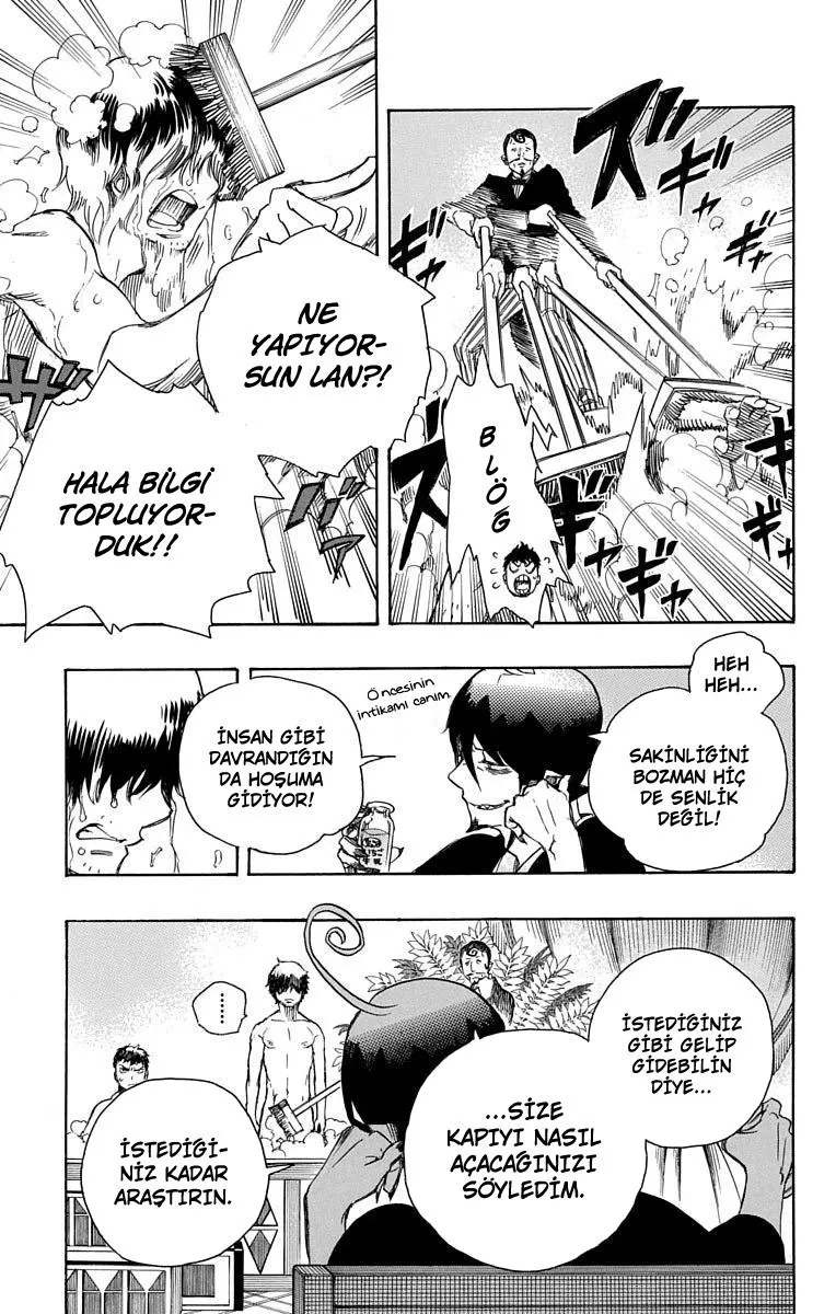 Sayfa 13