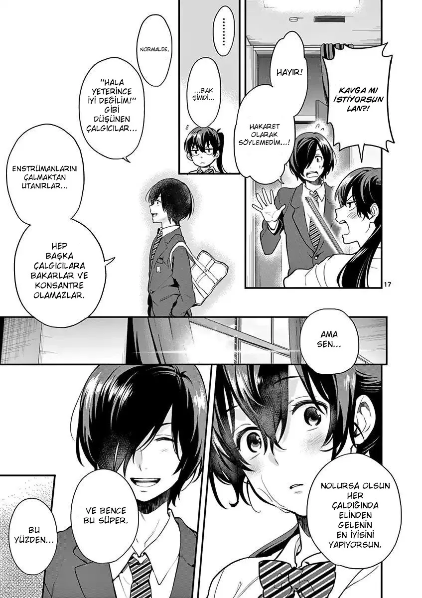 Sayfa 17