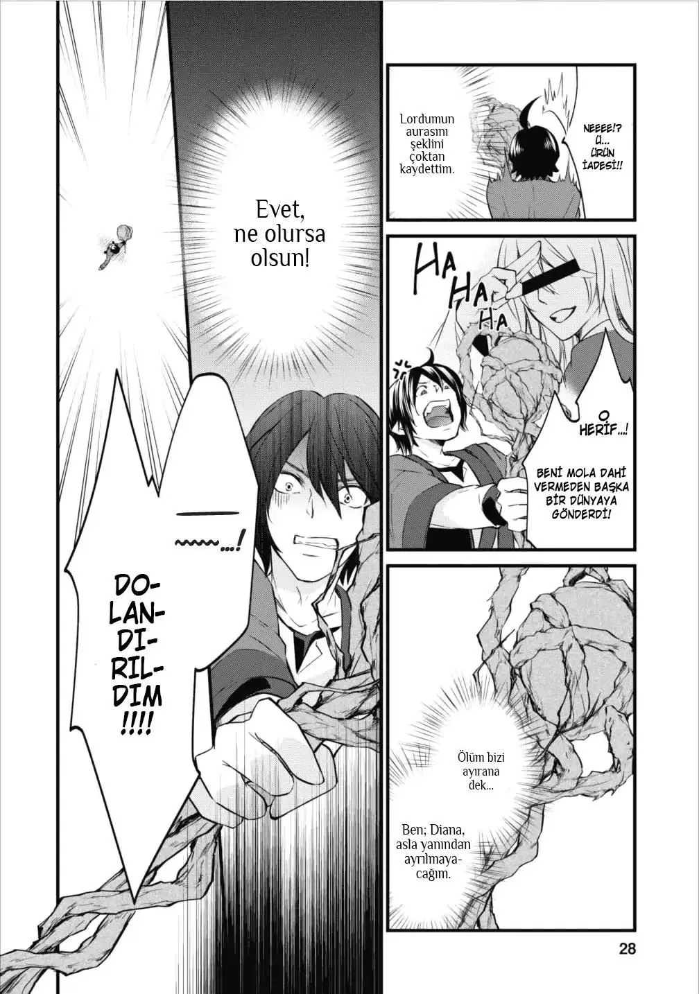 Sayfa 28