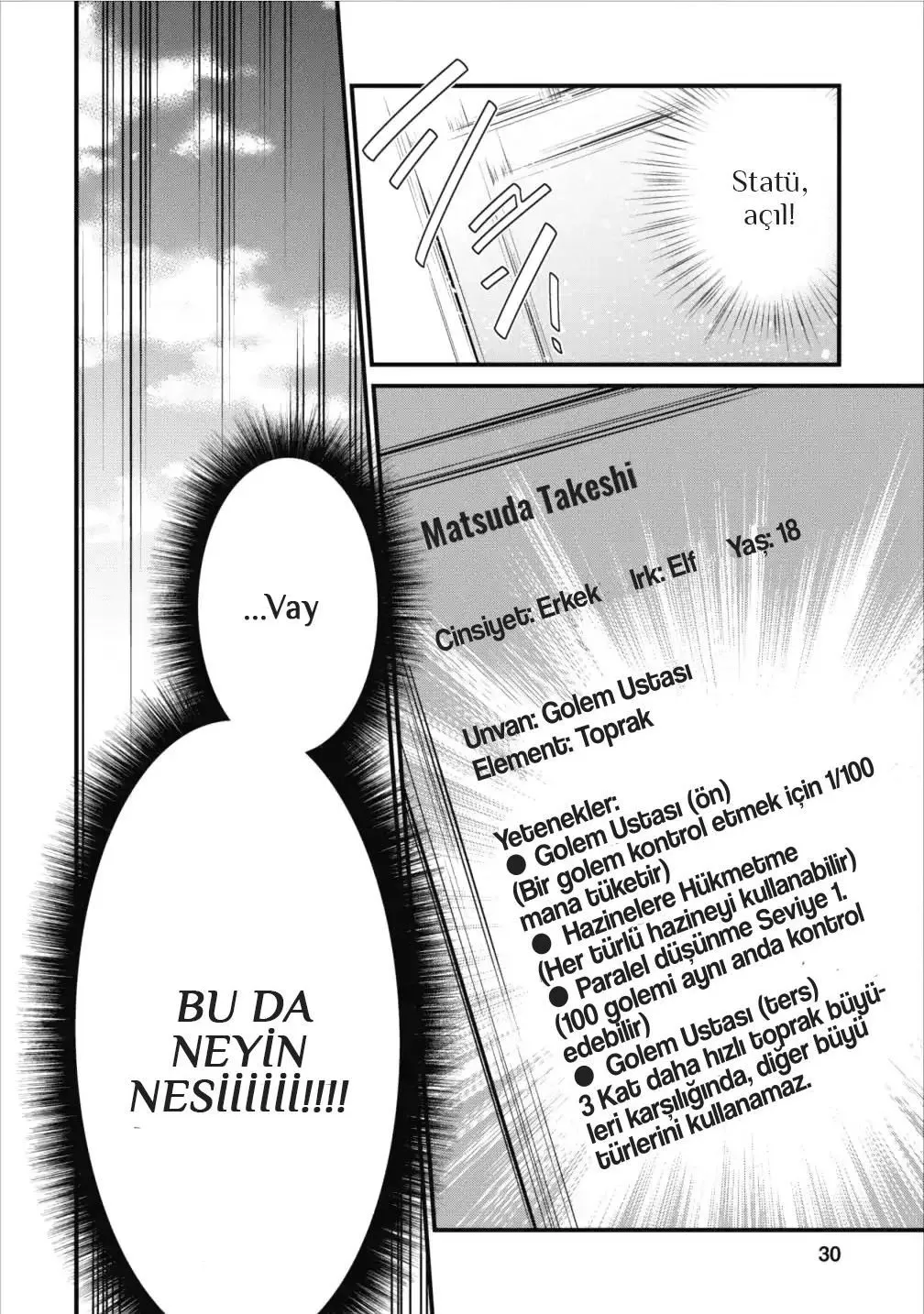 Sayfa 30