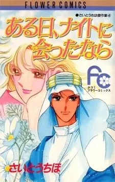 Aru Hi, Knight ni Attanara