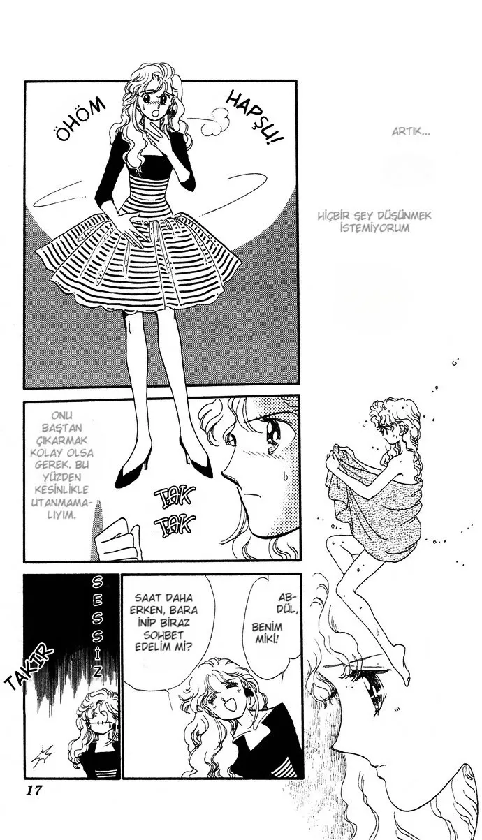 Sayfa 17