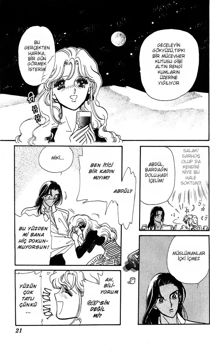 Sayfa 21