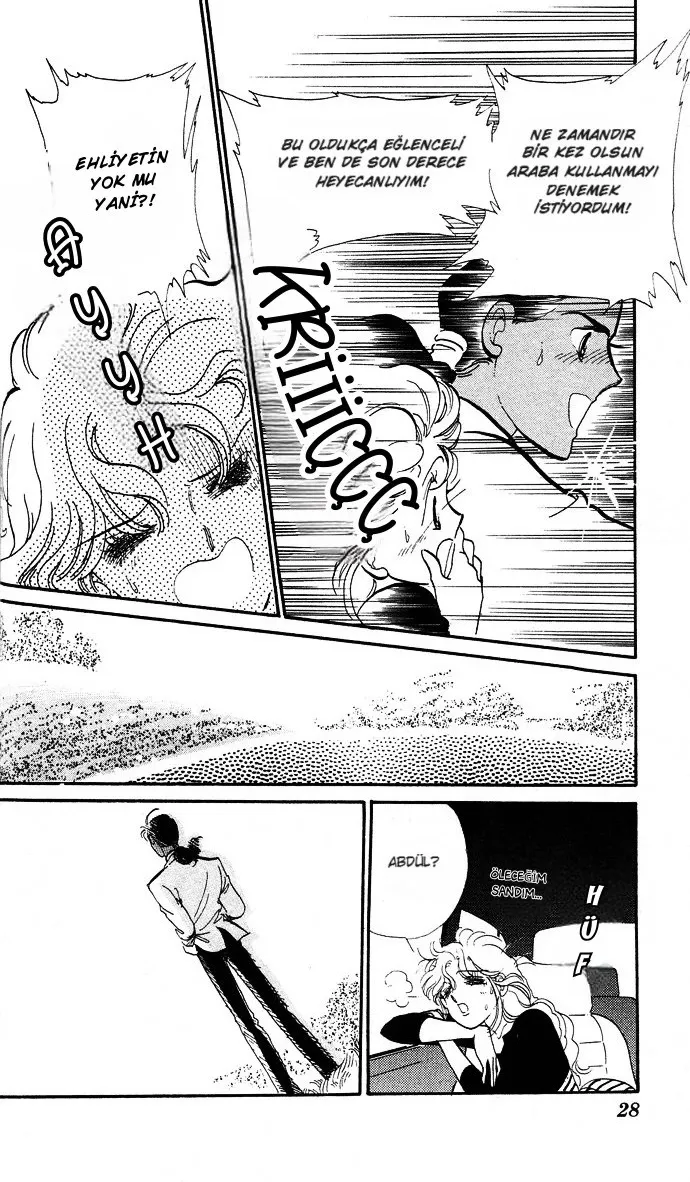 Sayfa 28