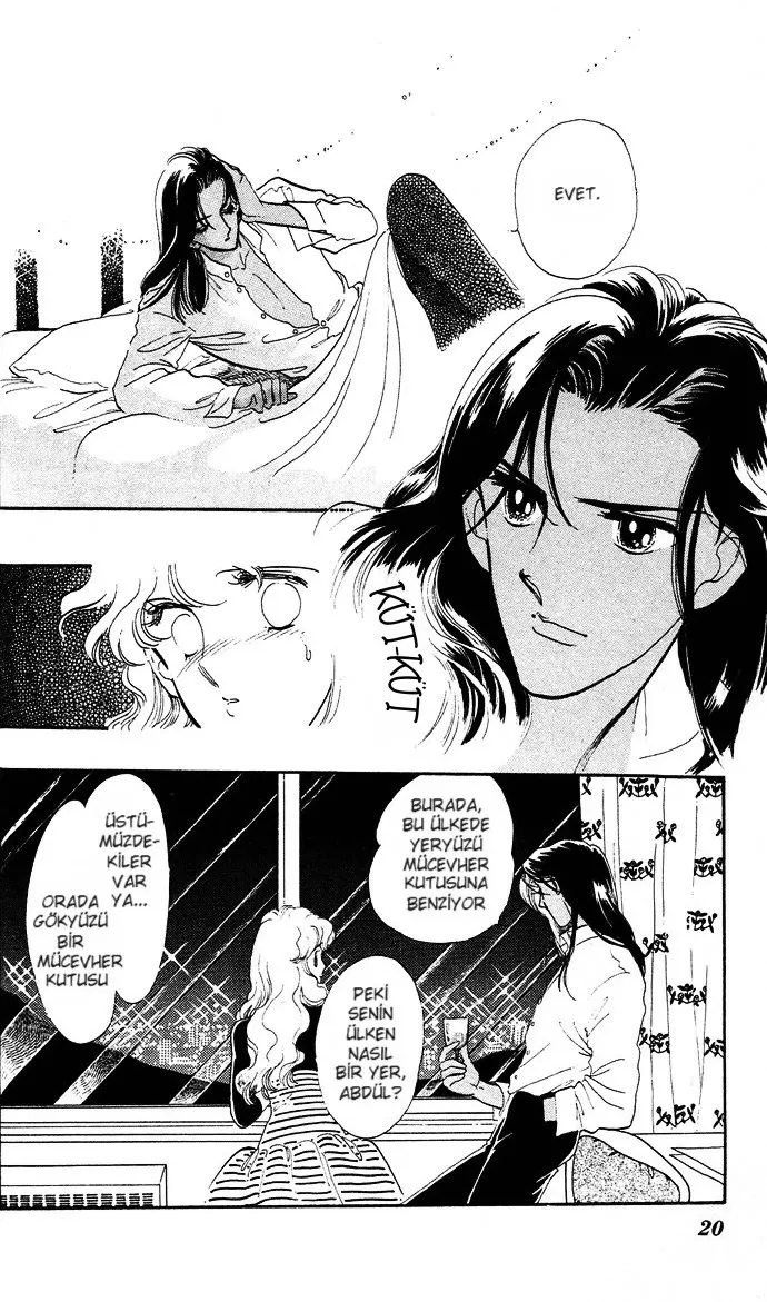 Sayfa 20