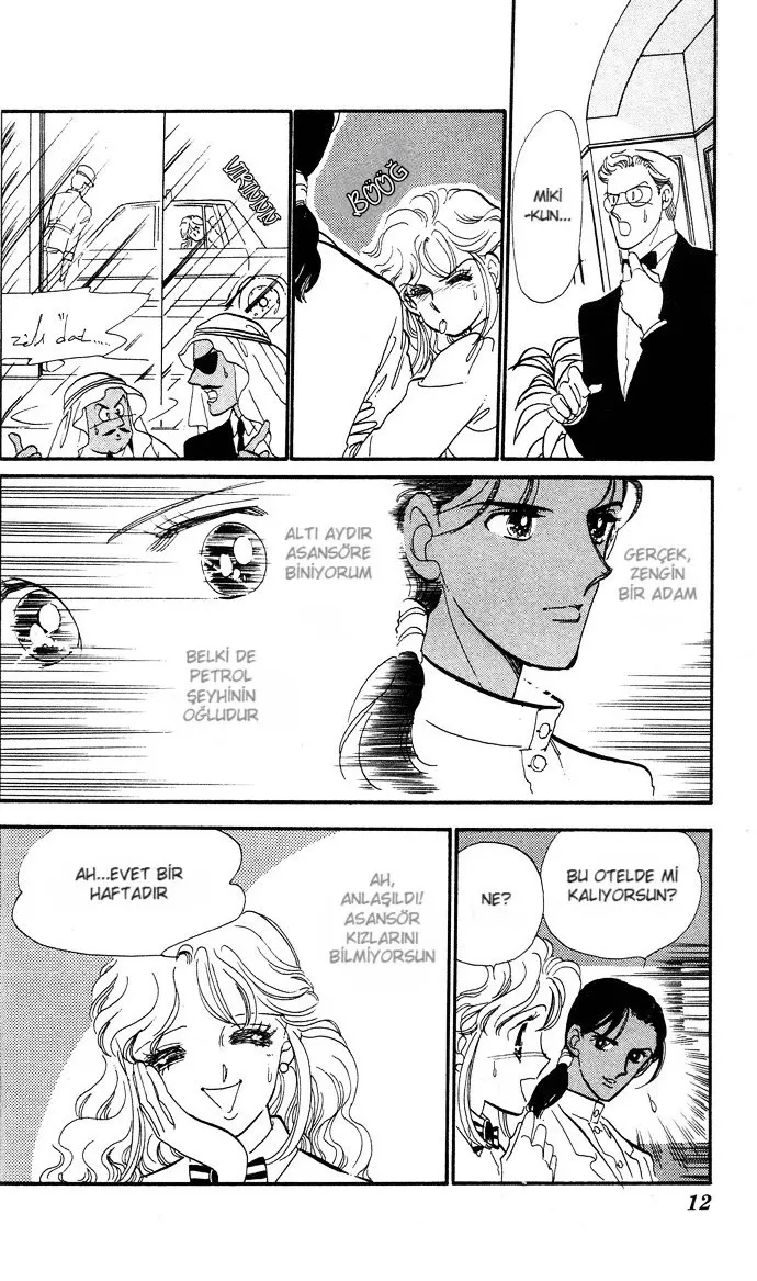 Sayfa 12