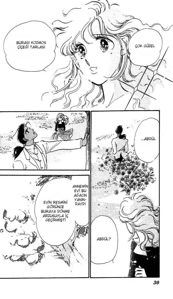 Sayfa 30