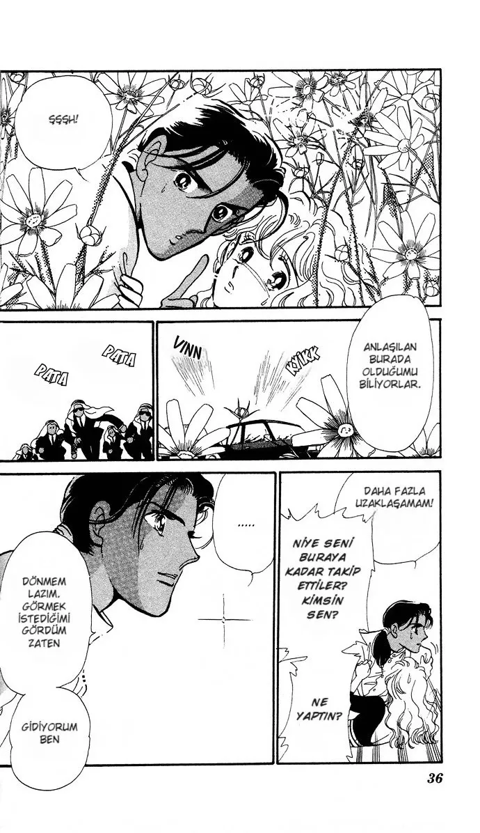 Sayfa 36