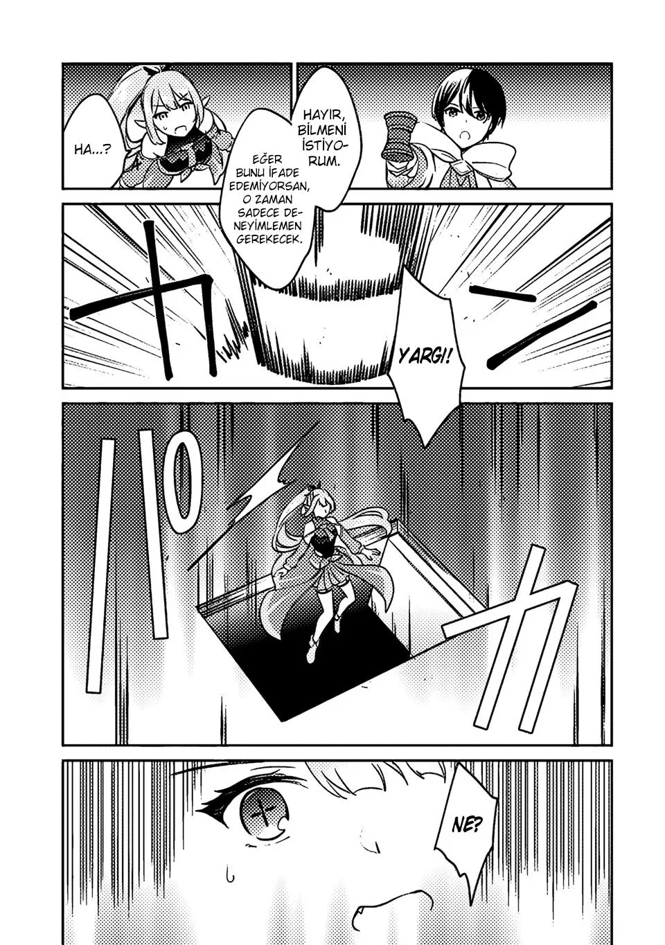 Sayfa 13
