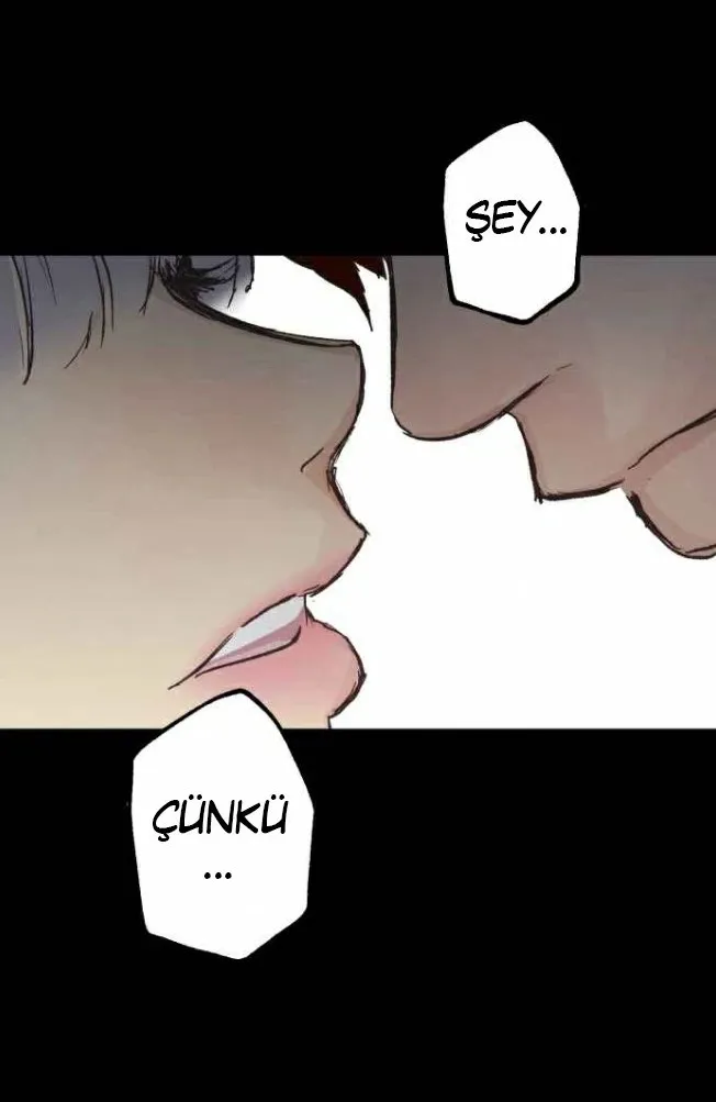 Sayfa 13