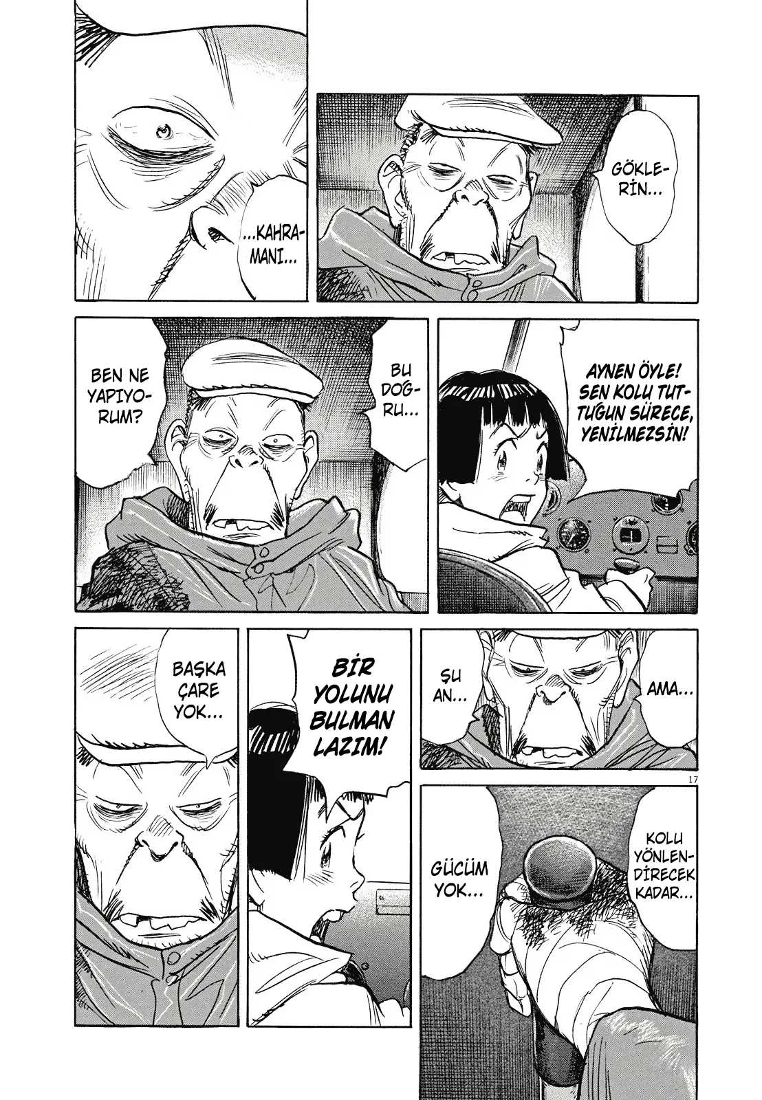 Sayfa 17