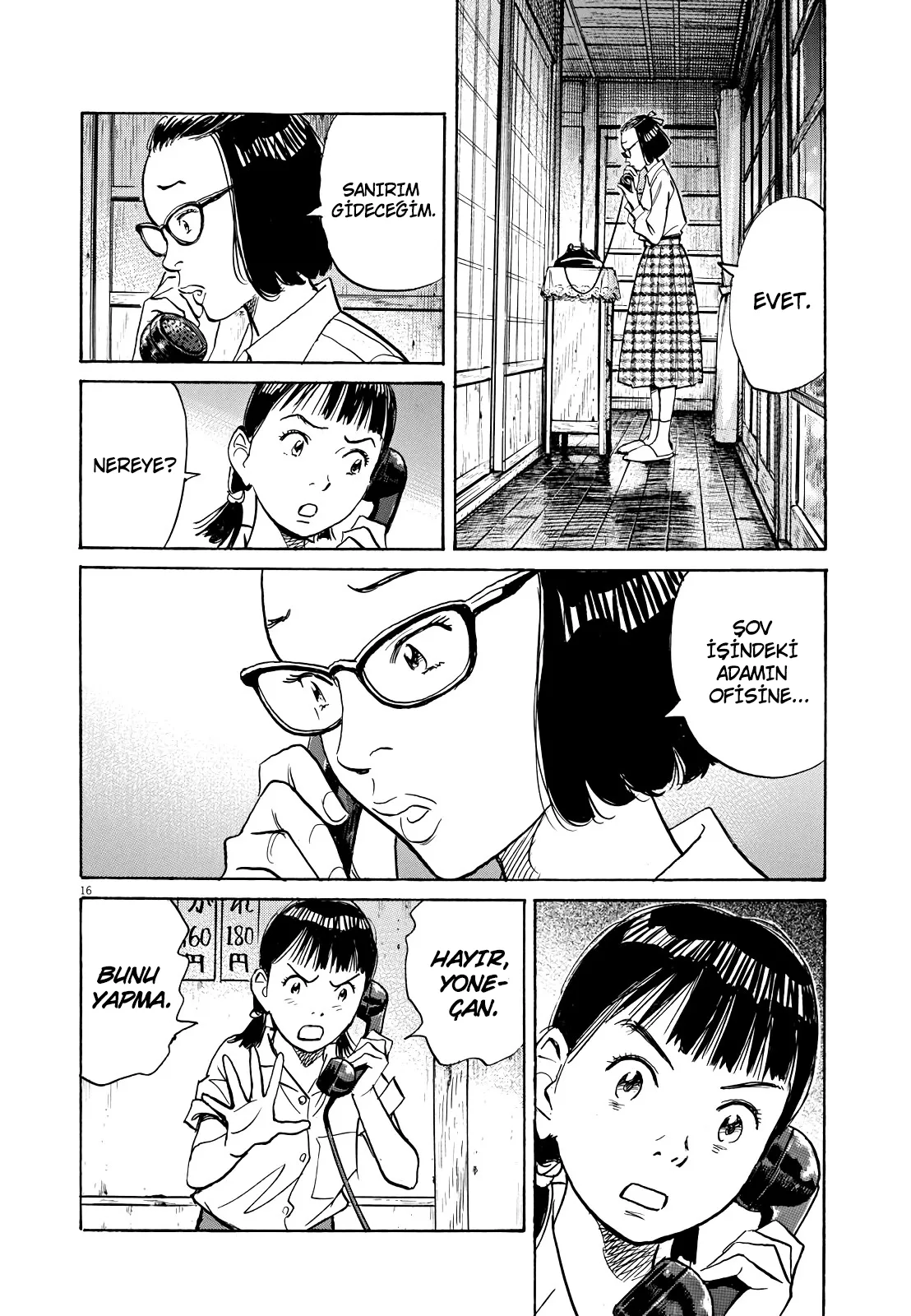 Sayfa 17