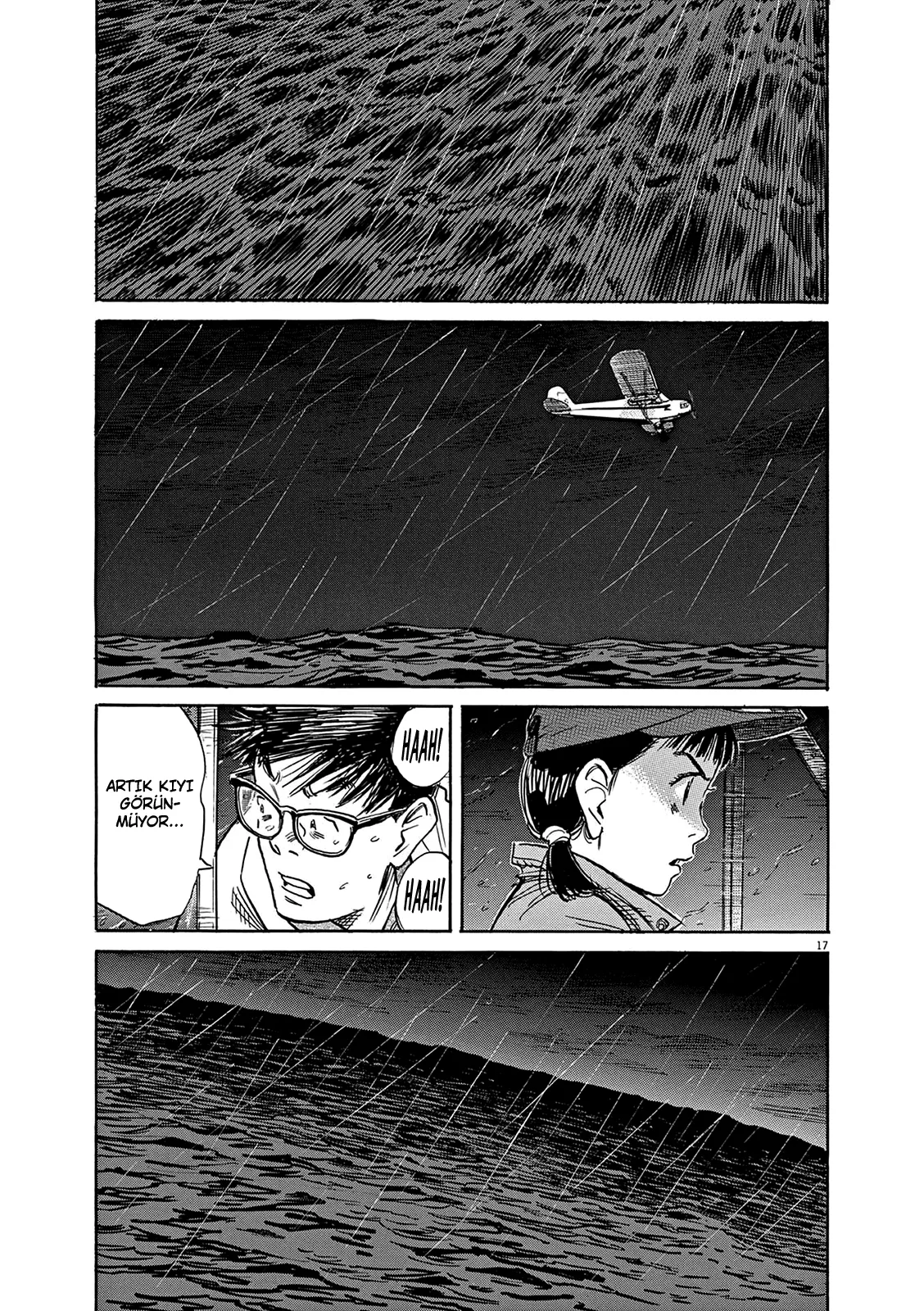 Sayfa 17
