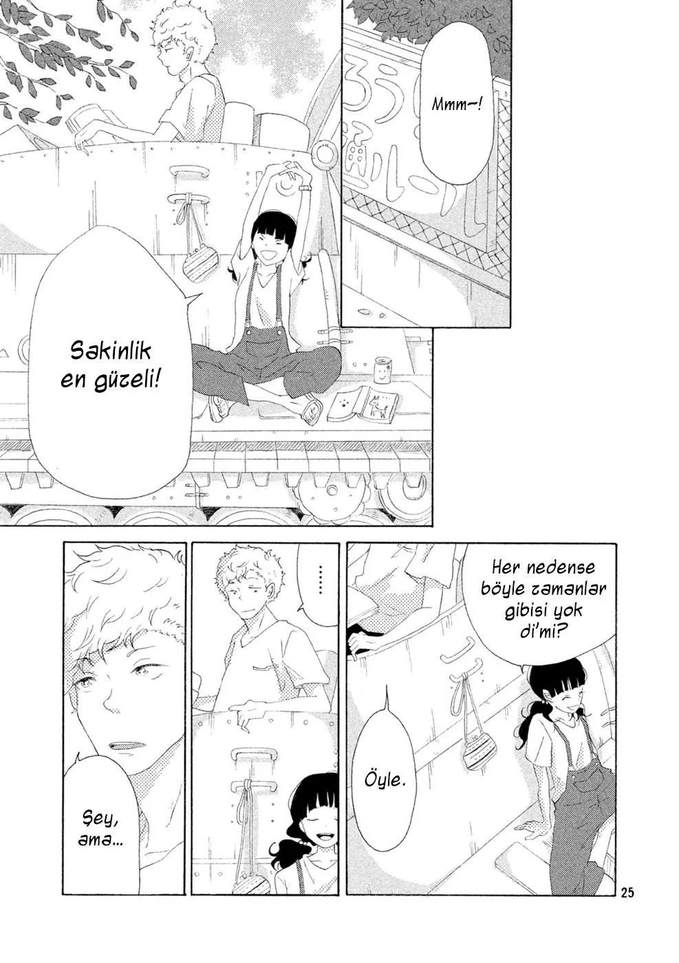 Sayfa 25