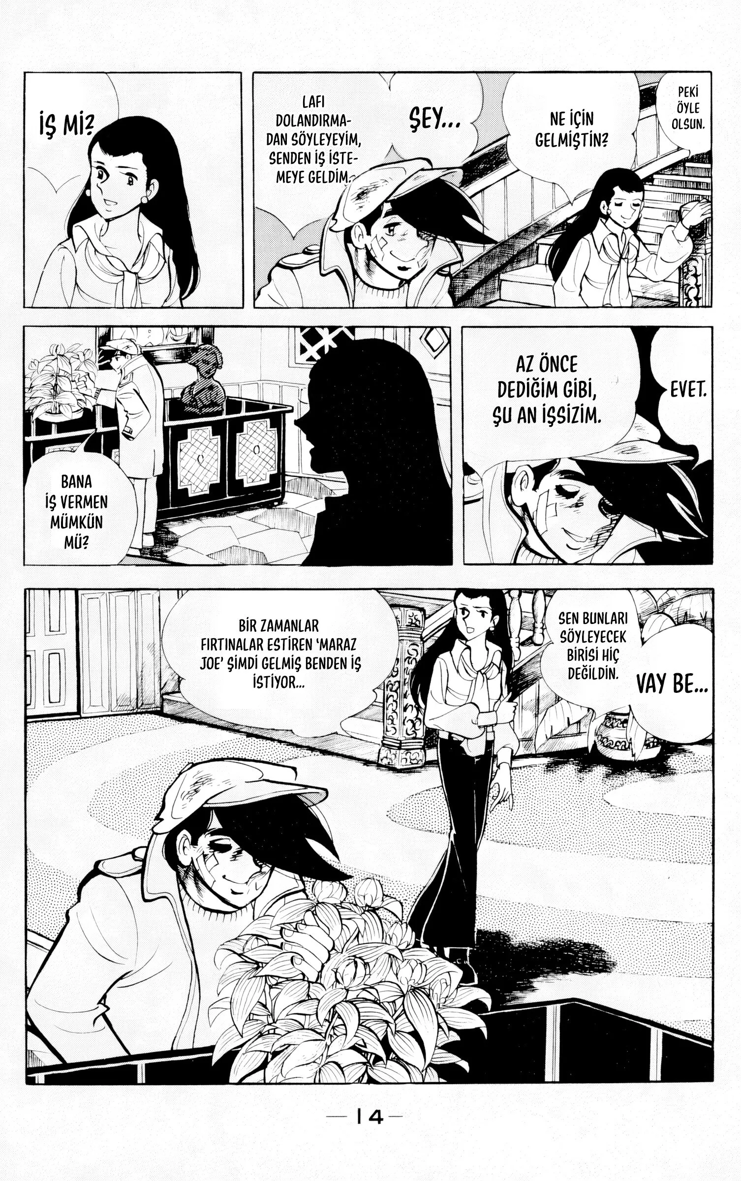 Sayfa 14