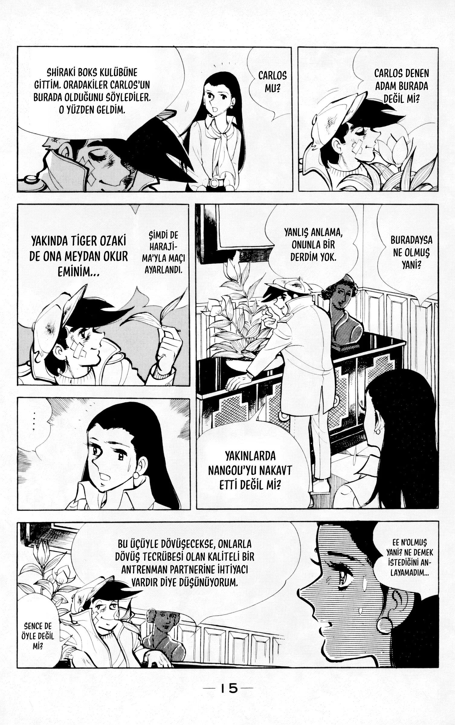Sayfa 15