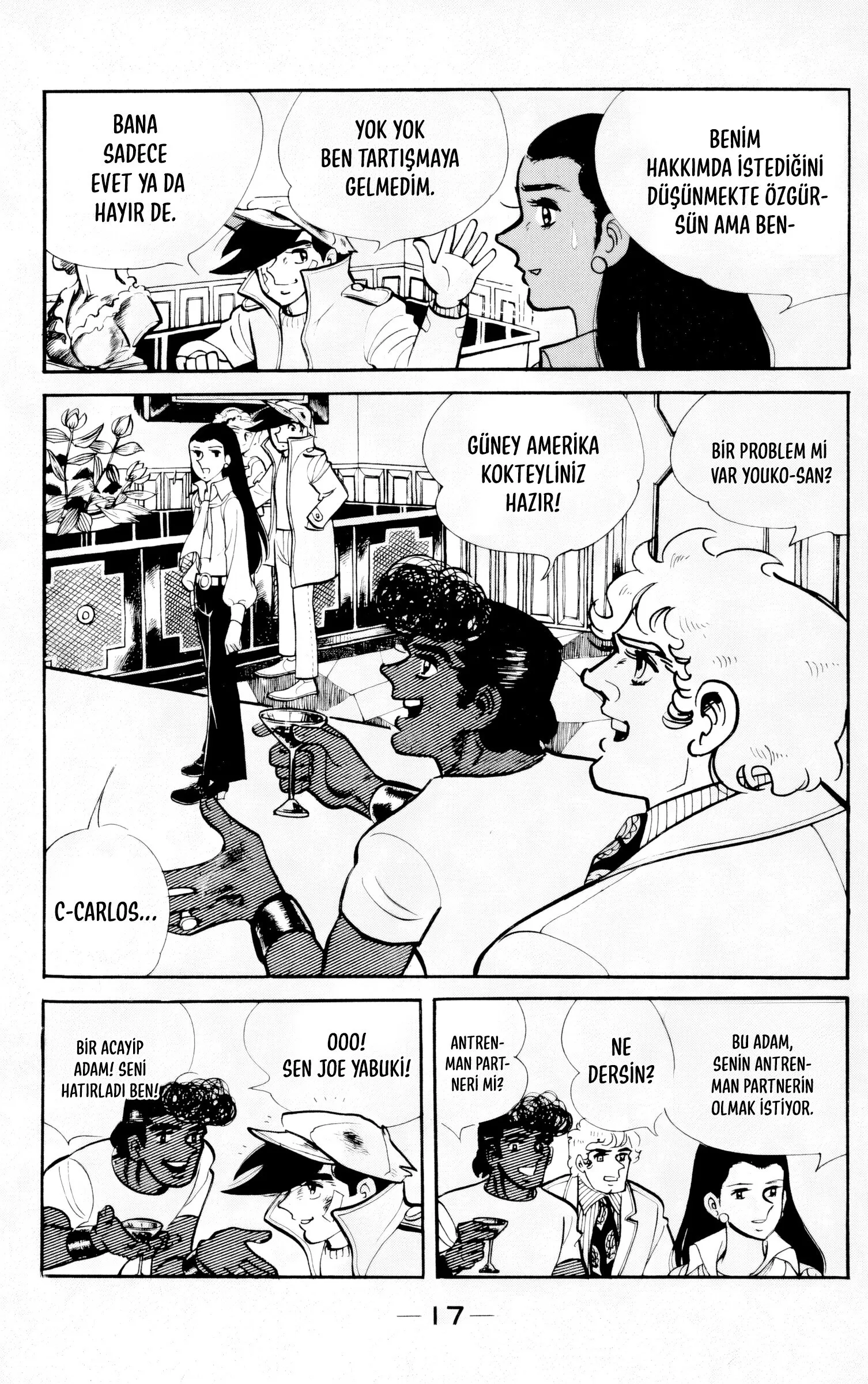 Sayfa 17