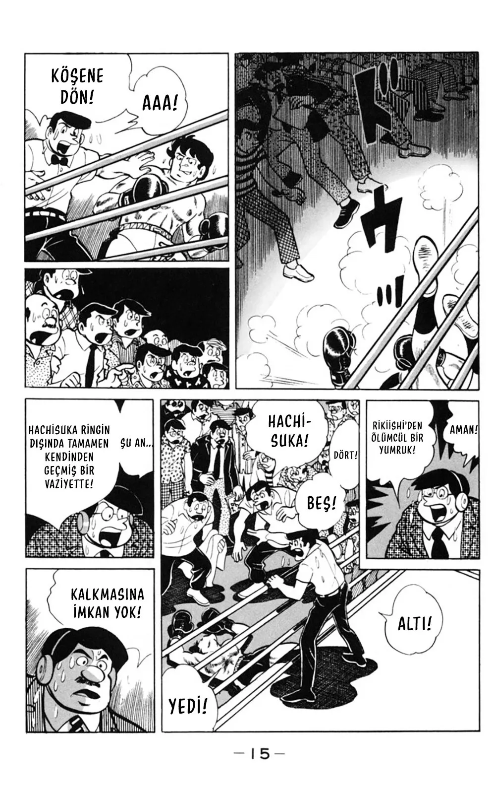 Sayfa 15