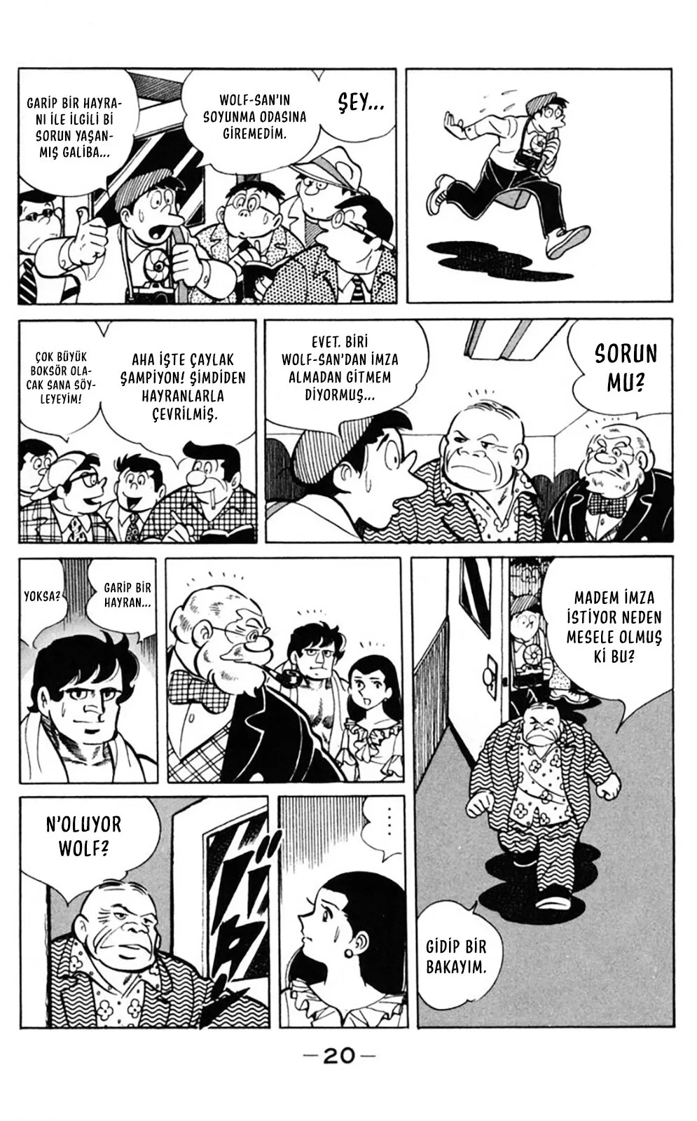 Sayfa 20