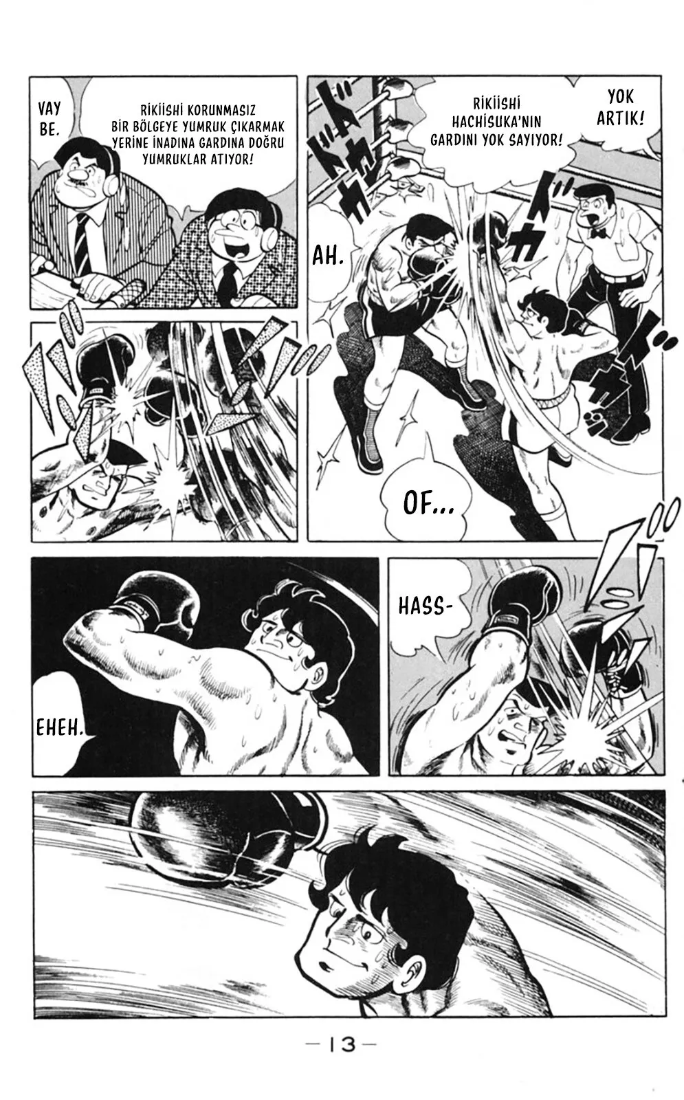 Sayfa 13