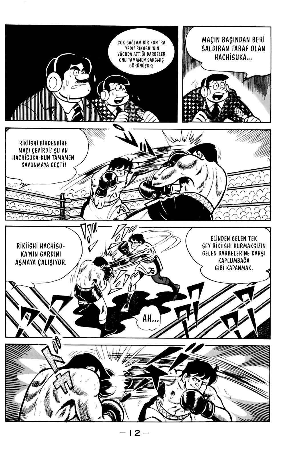 Sayfa 12