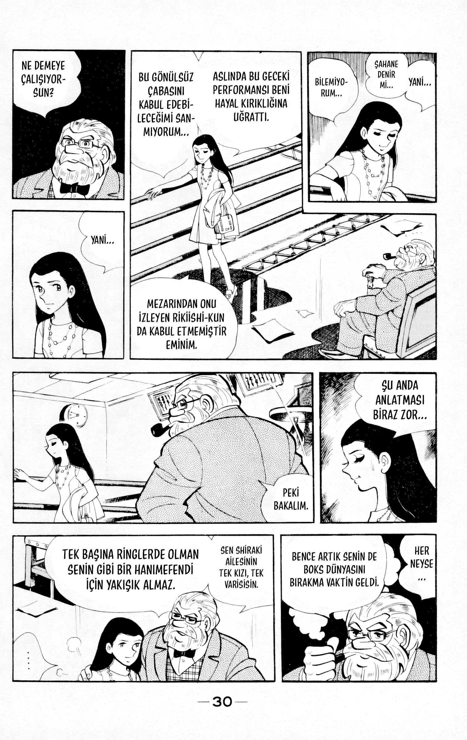 Sayfa 30