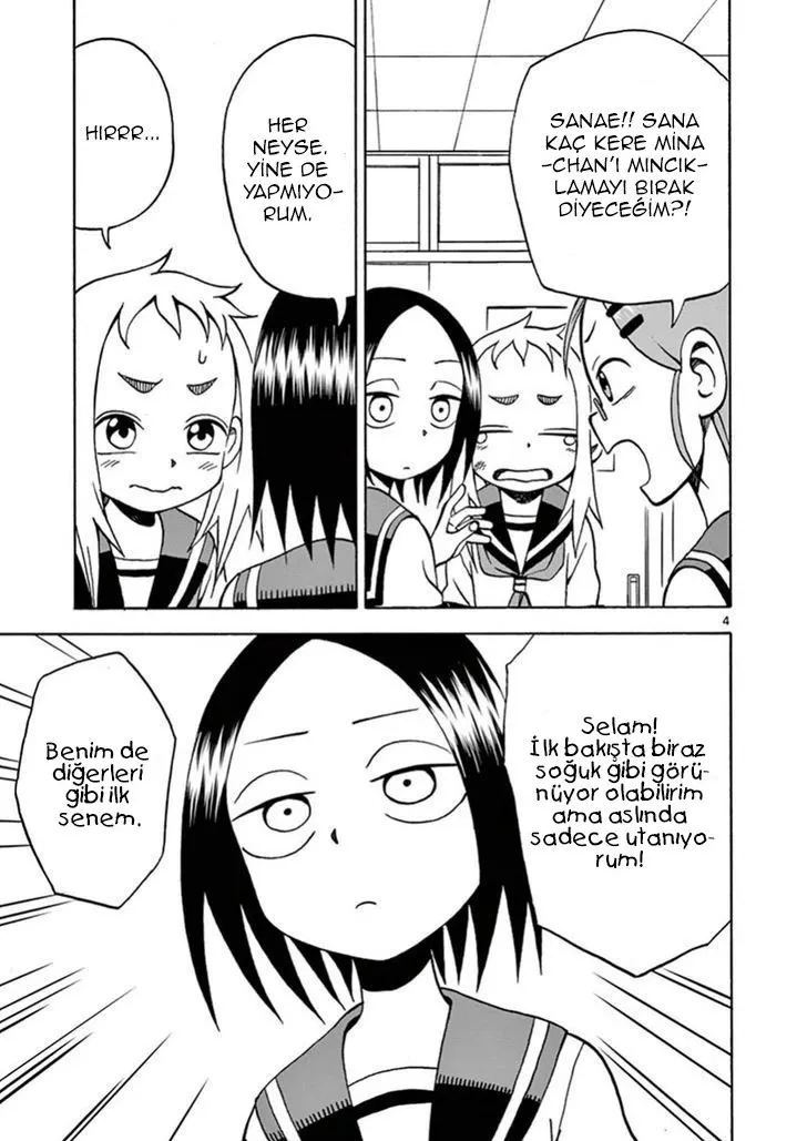 Sayfa 4