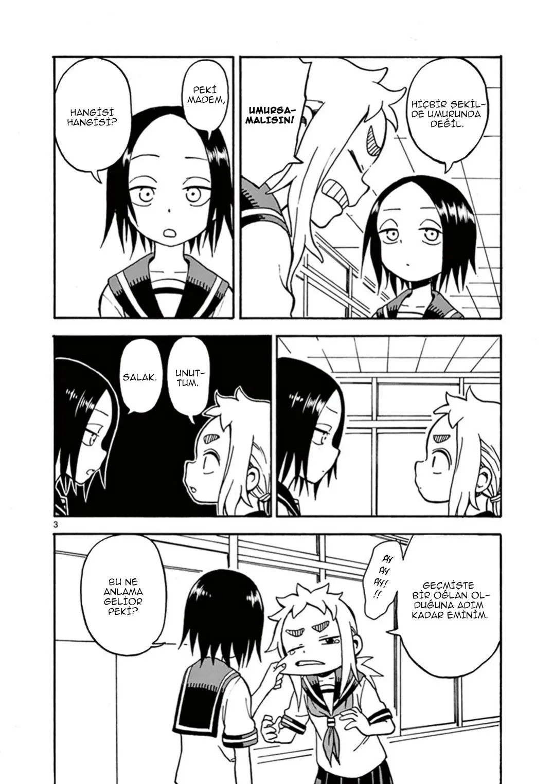 Sayfa 3