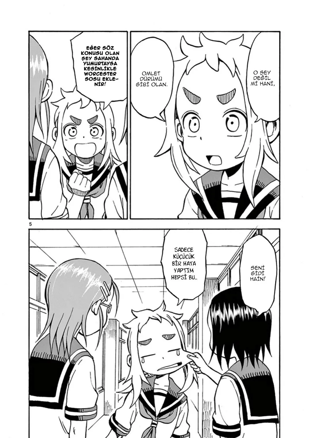Sayfa 5