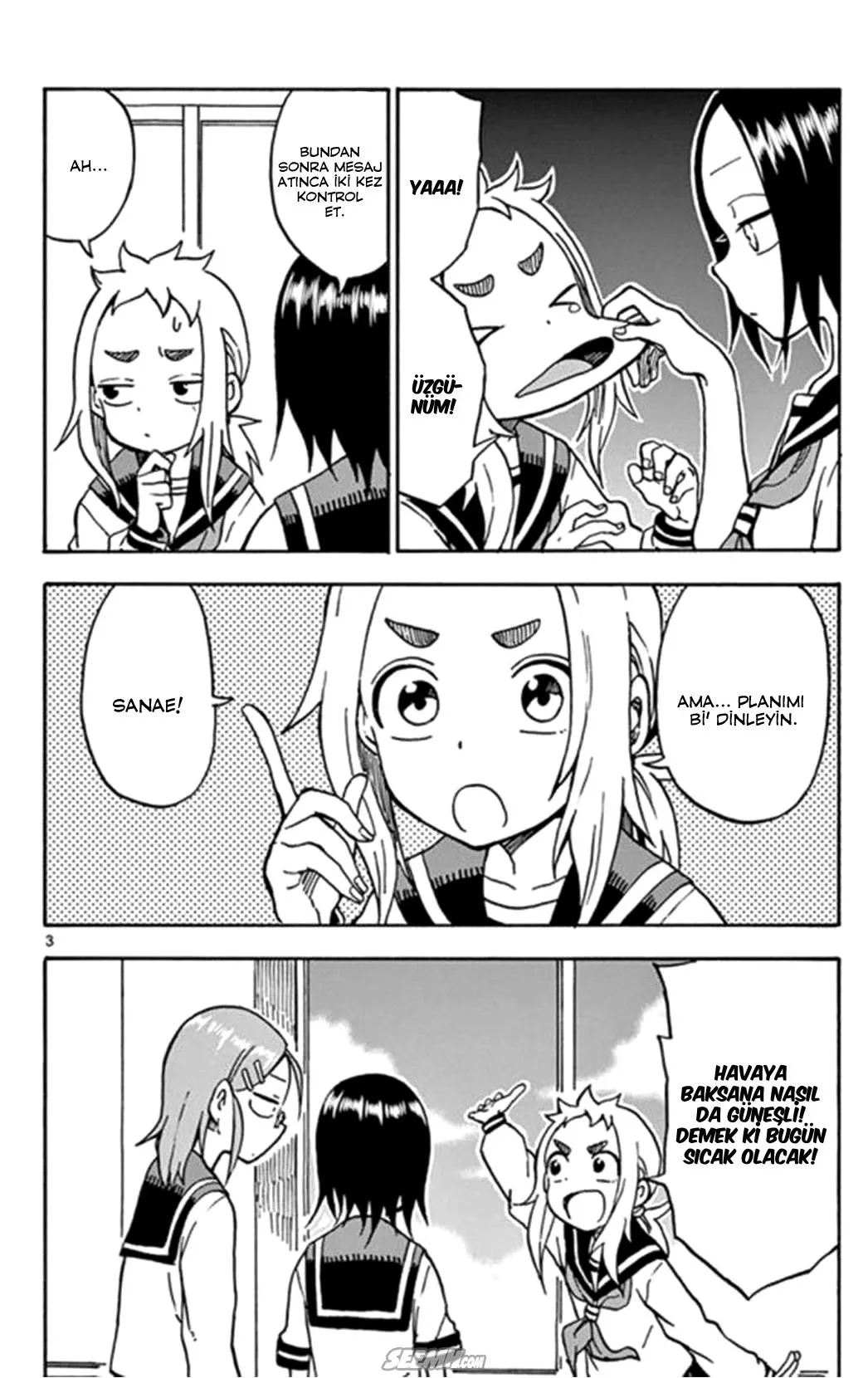 Sayfa 3
