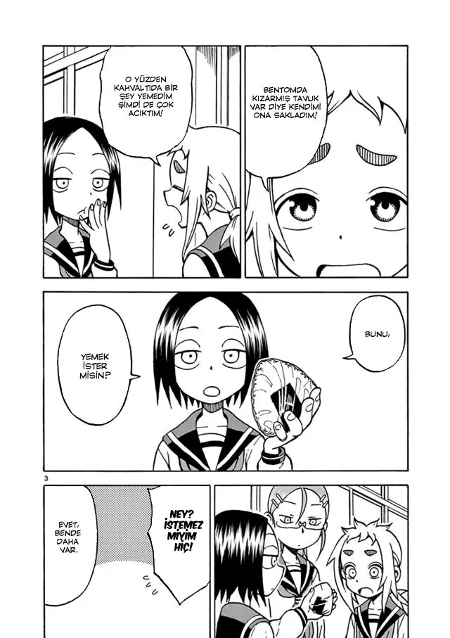 Sayfa 3