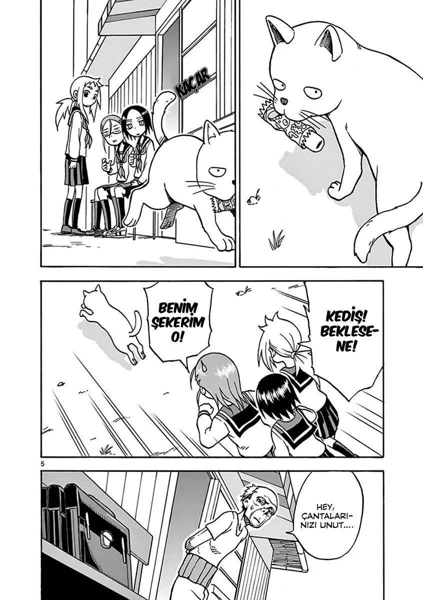 Sayfa 5