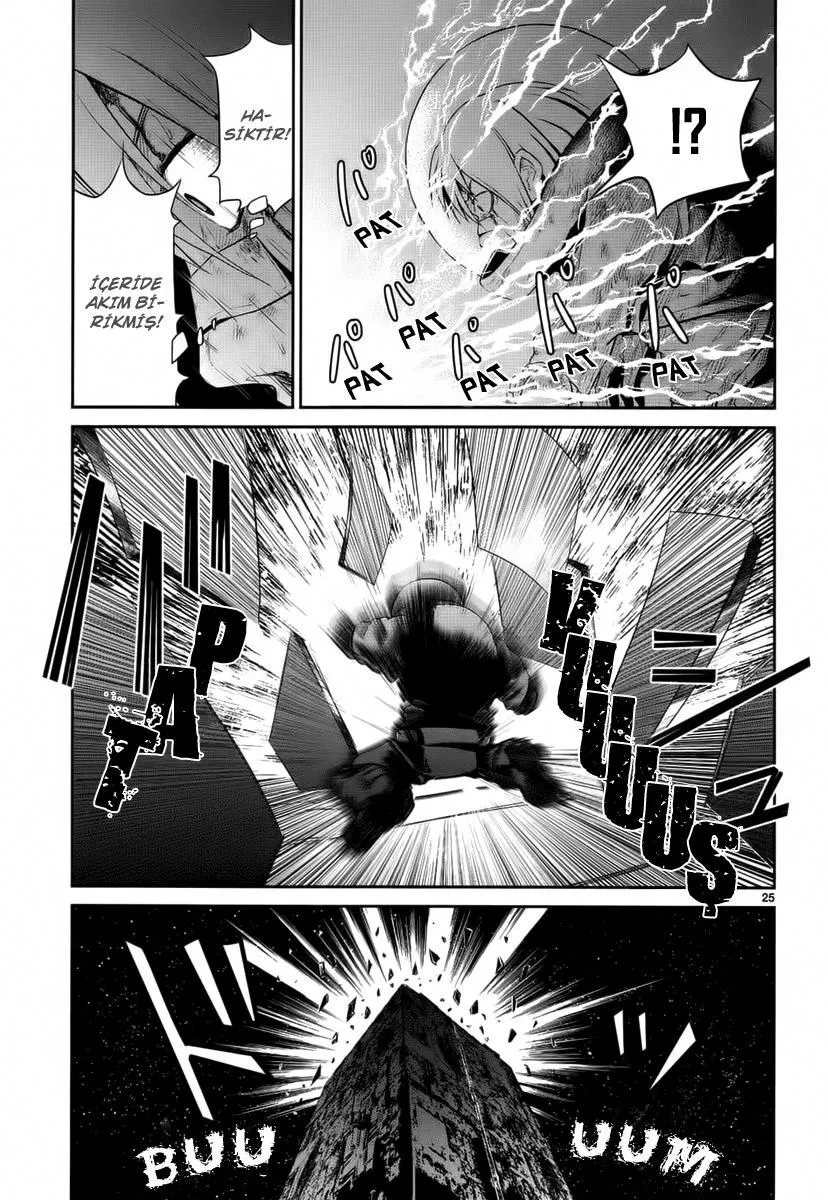 Sayfa 25