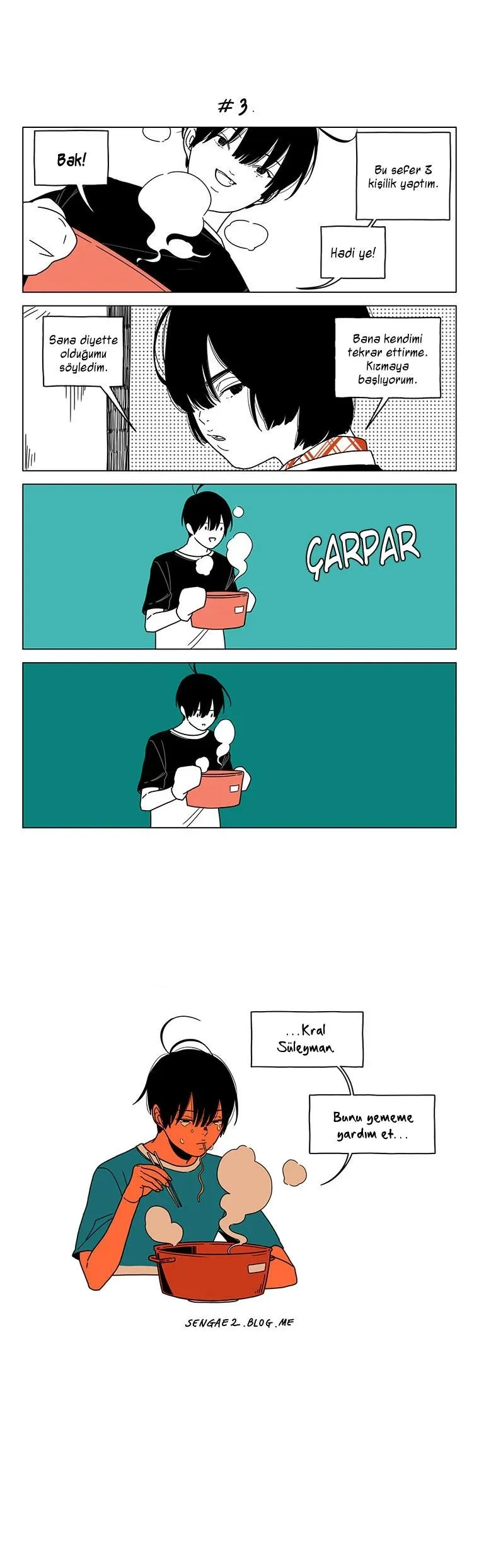 Sayfa 3