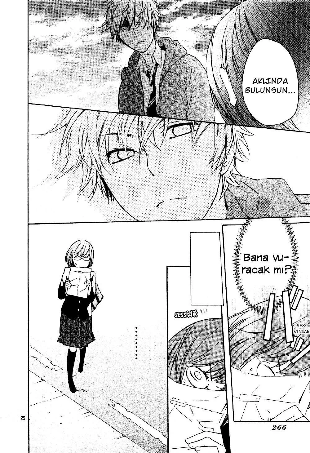 Sayfa 26