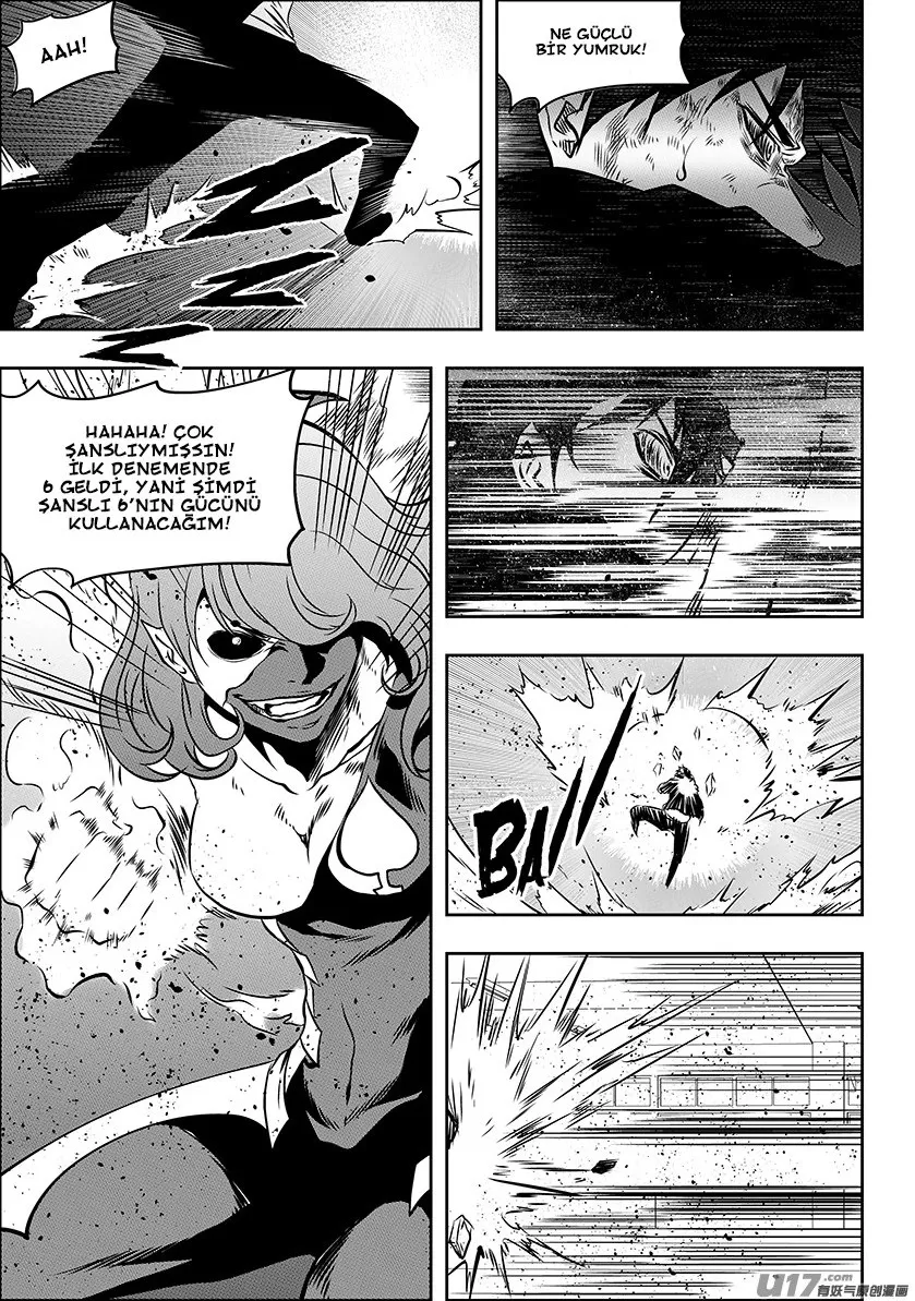 Sayfa 17