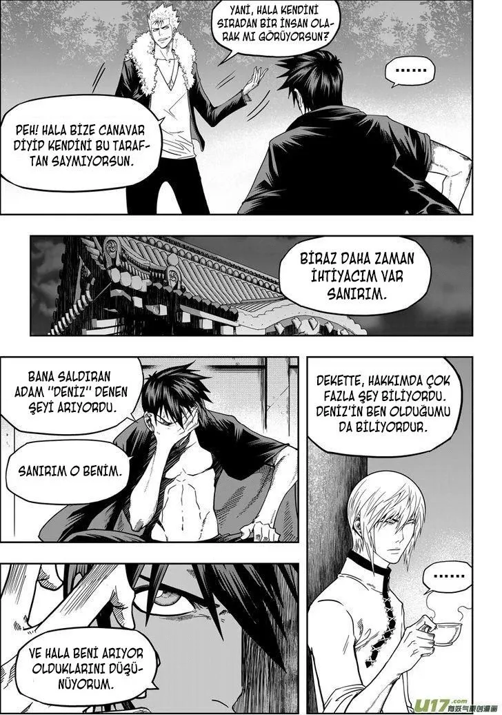 Sayfa 17