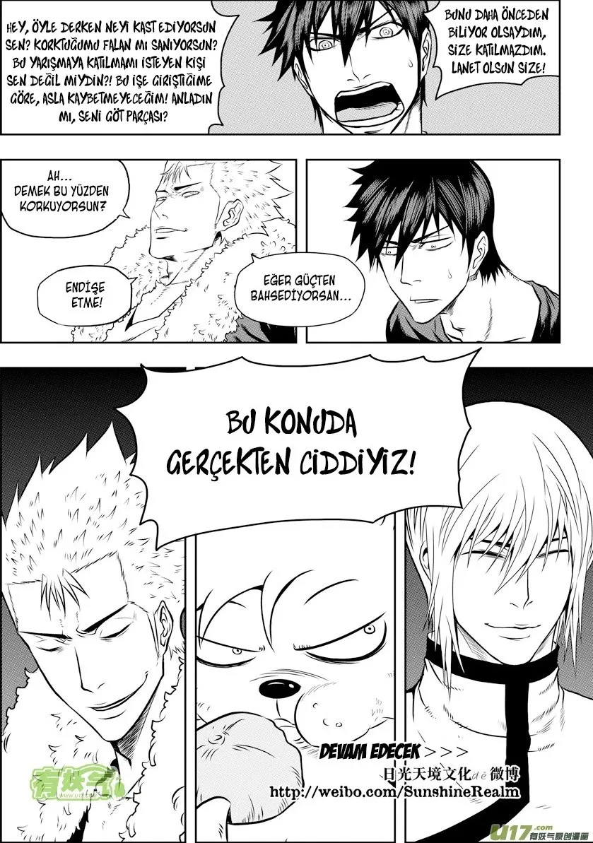 Sayfa 17